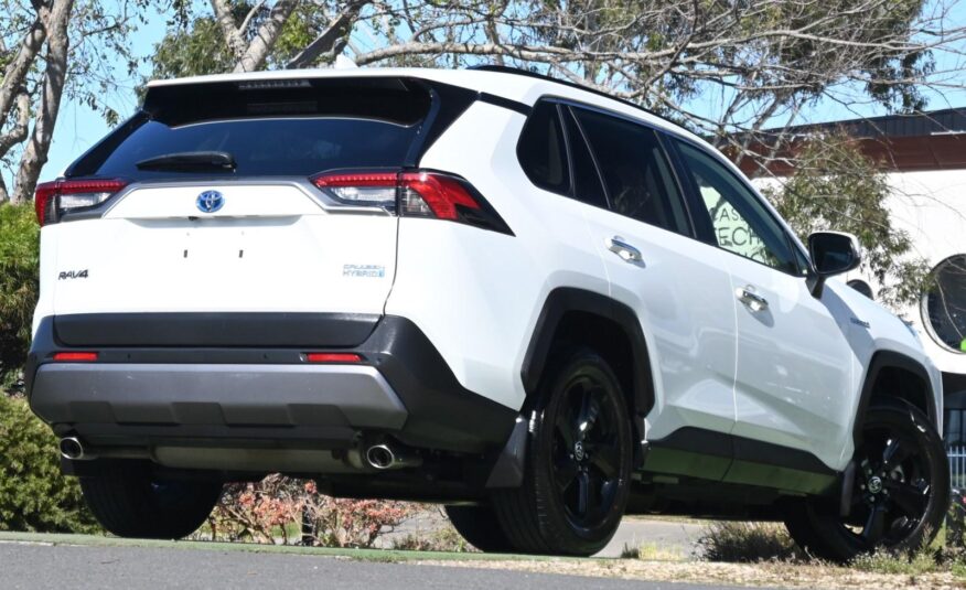 2020 TOYOTA RAV4 Cruiser Auto