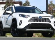 2020 TOYOTA RAV4 Cruiser Auto