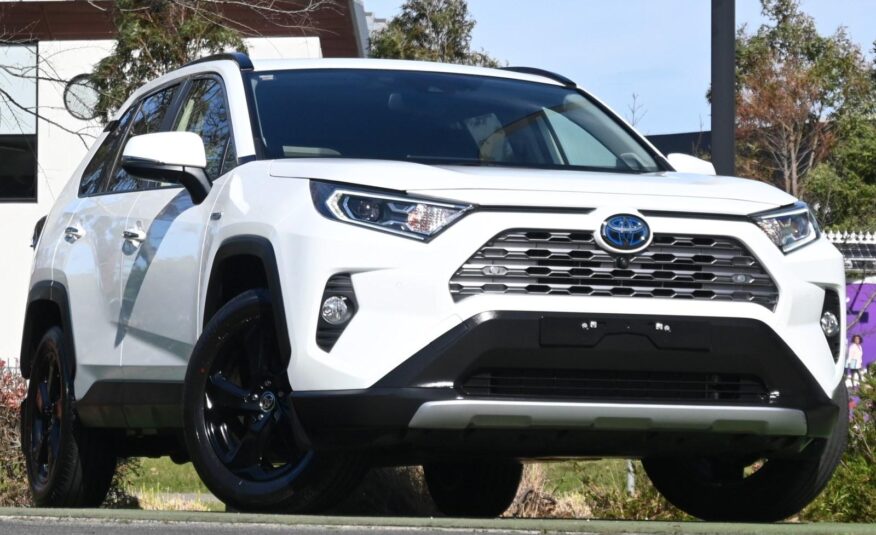 2020 TOYOTA RAV4 Cruiser Auto