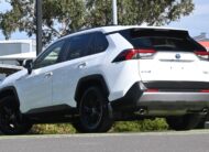 2020 TOYOTA RAV4 Cruiser Auto