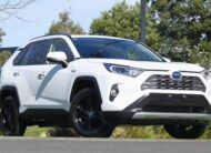 2020 TOYOTA RAV4 Cruiser Auto