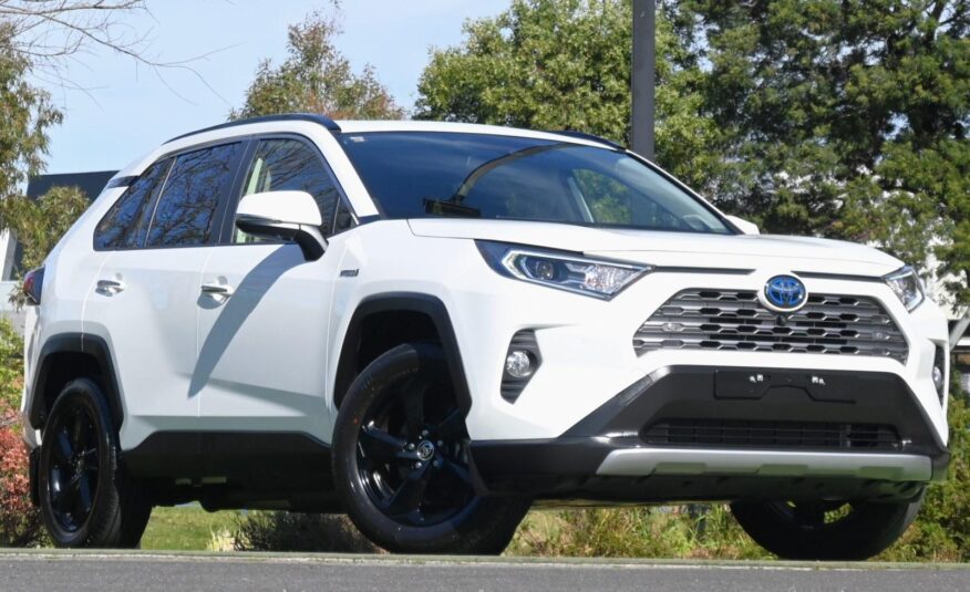 2020 TOYOTA RAV4 Cruiser Auto