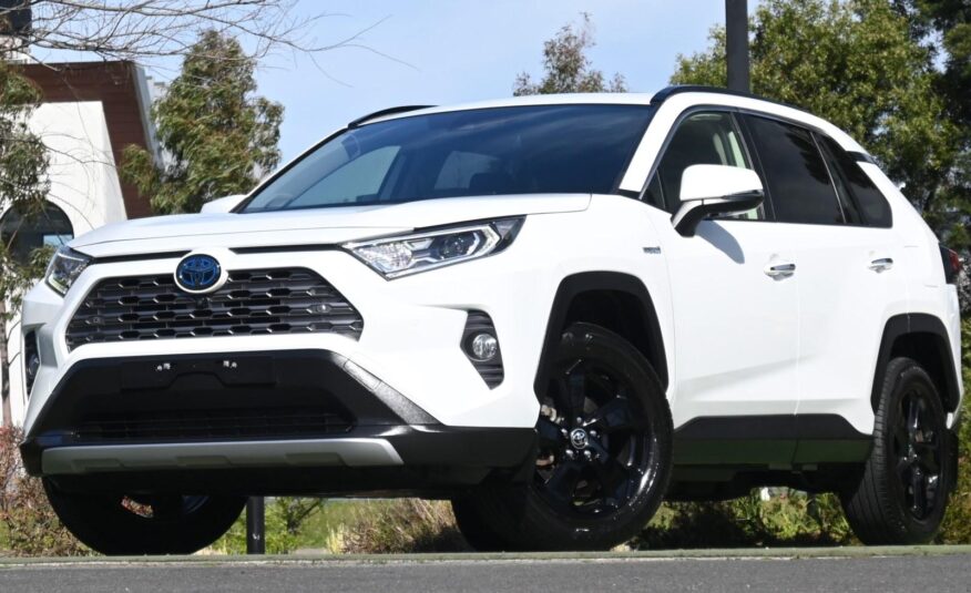 2020 TOYOTA RAV4 Cruiser Auto